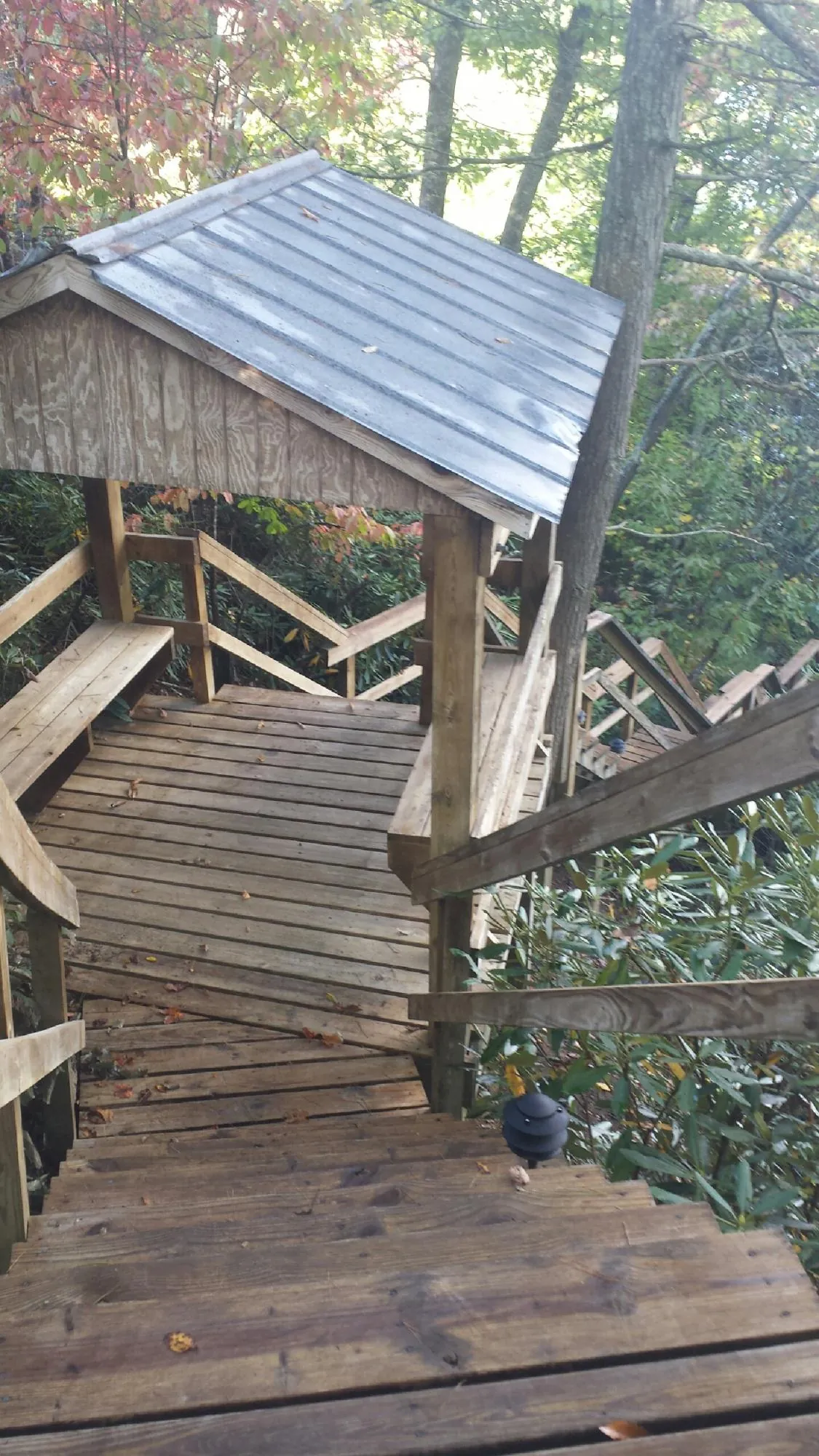 Metal roofed shelter over wooden steps on a wooded walkway — Skylight Repair & Installation work by our crew in Mc Bain
